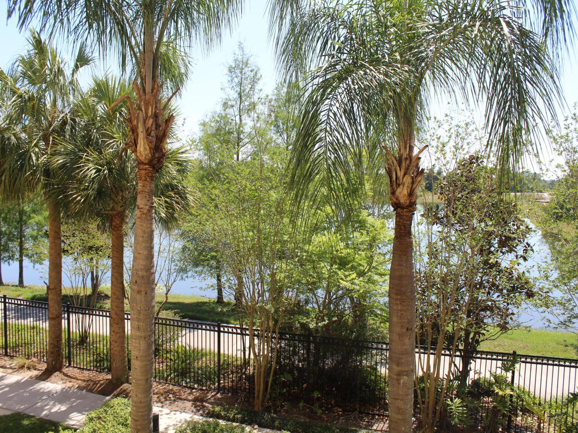 205 - Disney, Universal, Convention Center Orlando Exterior foto